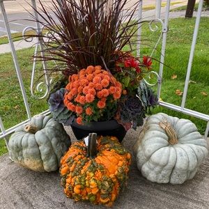 Meet your Posher, Maggie